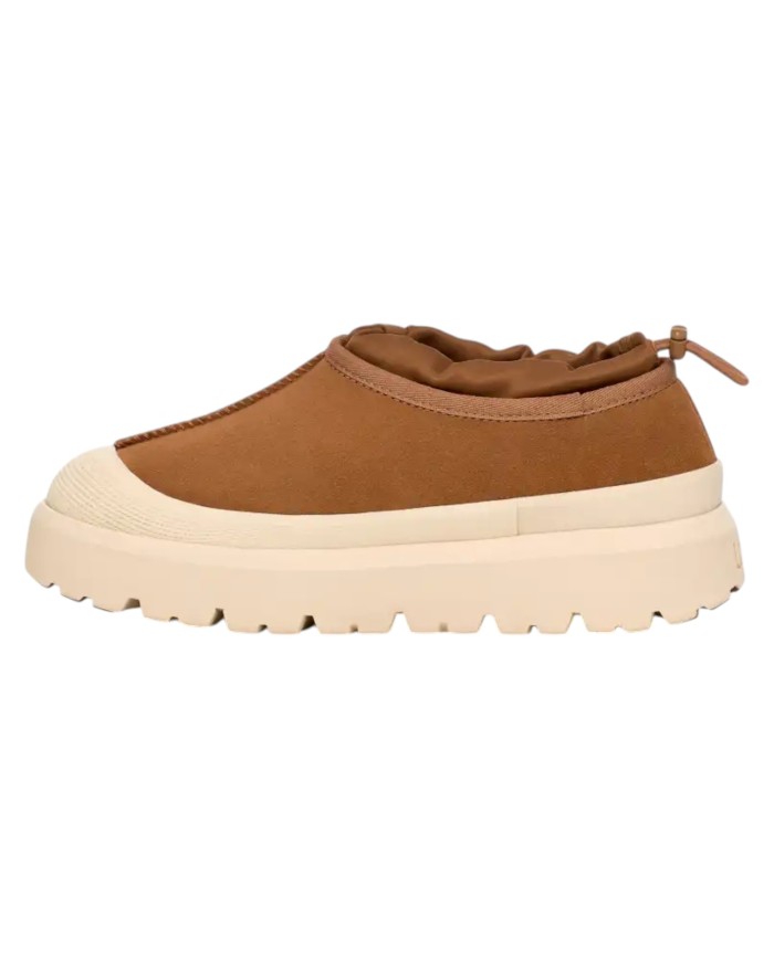 Sabot Uomo Sneaker UGG M Tasman Weather Hybrid CWTC Chestnut /Whitecab