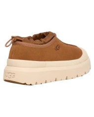 Sabot Uomo Sneaker UGG M Tasman Weather Hybrid CWTC Chestnut /Whitecab